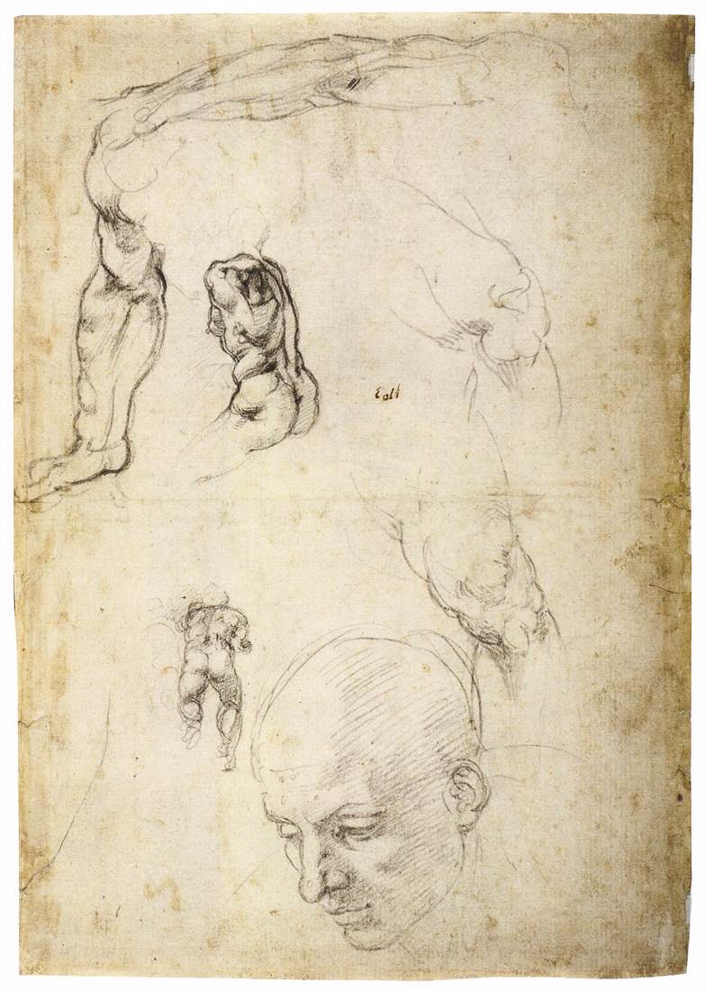 Michelangelo-Buonarroti (158).jpg